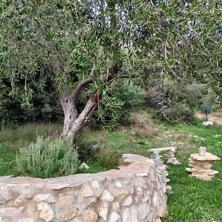 Terraoliva&Herbs Vatos Exterior photo
