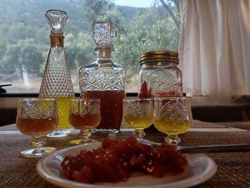 Terraoliva&herbs Kemping