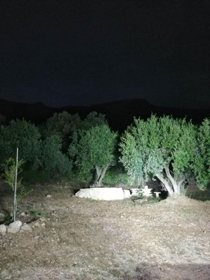 Camping Terraoliva&herbs *