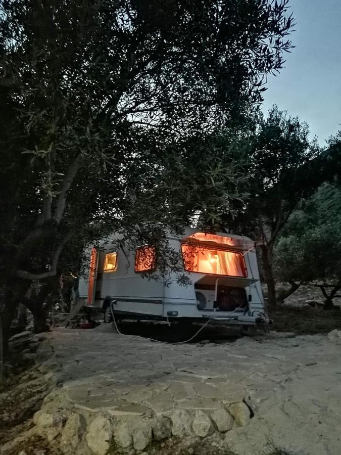 Campingplatz Terraoliva&herbs