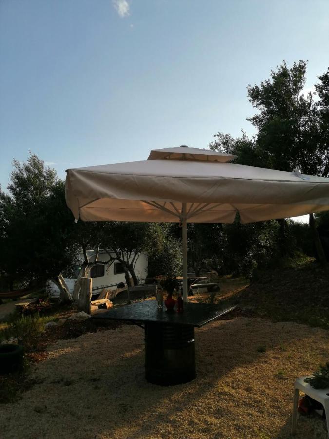 Campingplatz Terraoliva&herbs