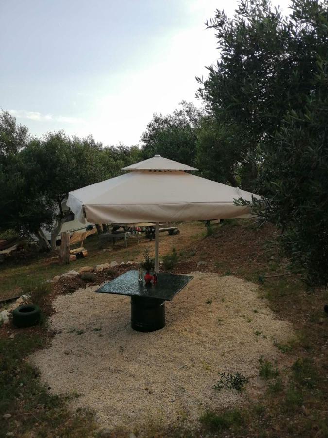 Terraoliva&herbs *