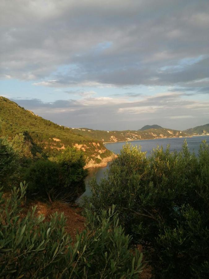Camping Terraoliva&herbs *