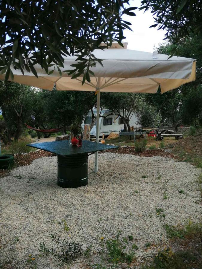 Campingplatz Terraoliva&herbs Vátos
