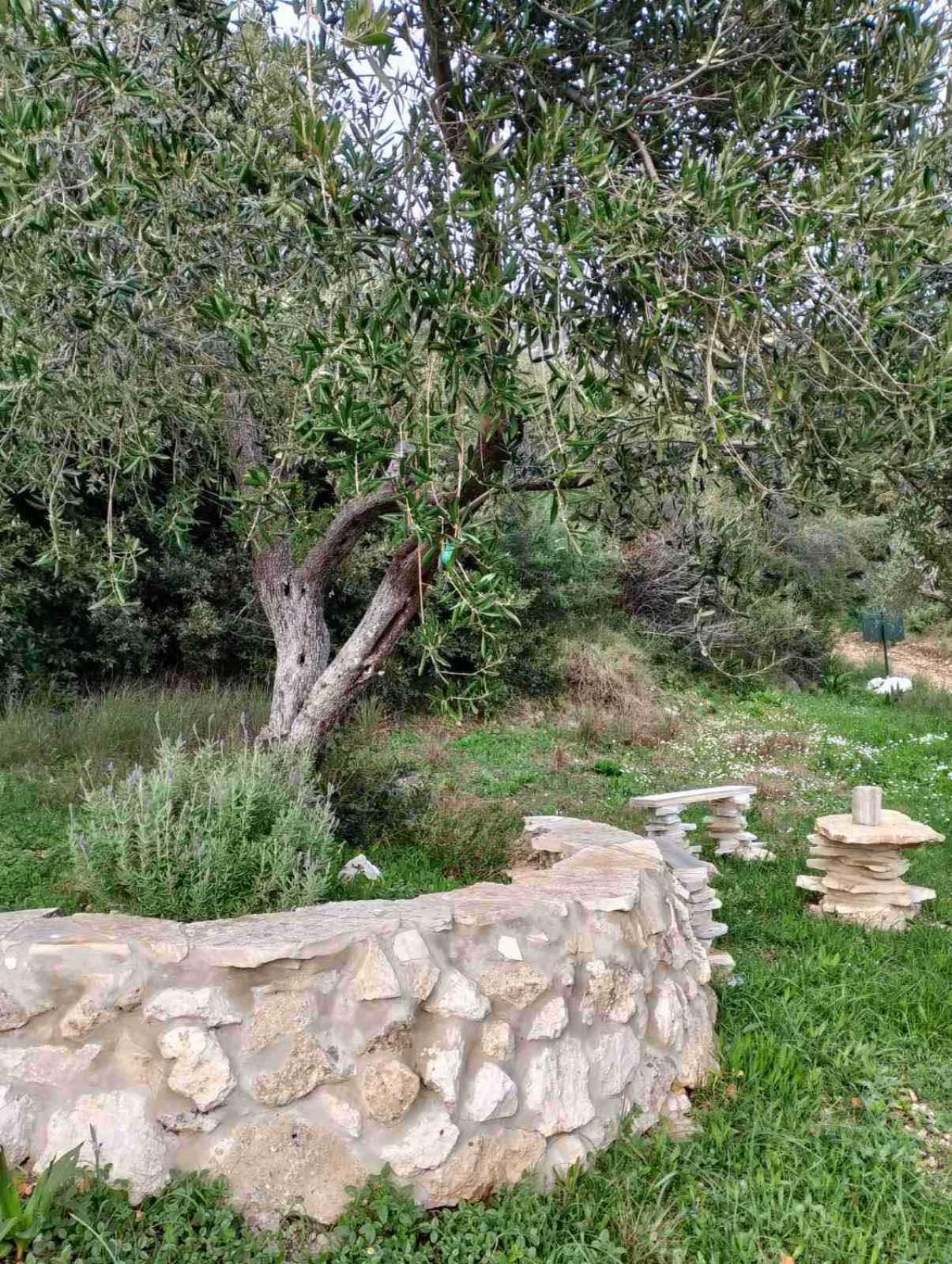 Campingplatz Terraoliva&herbs *