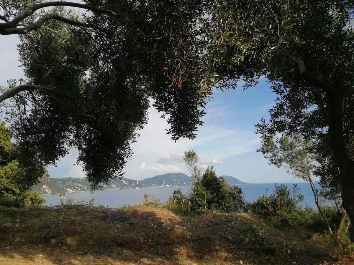 Terraoliva&herbs Camping