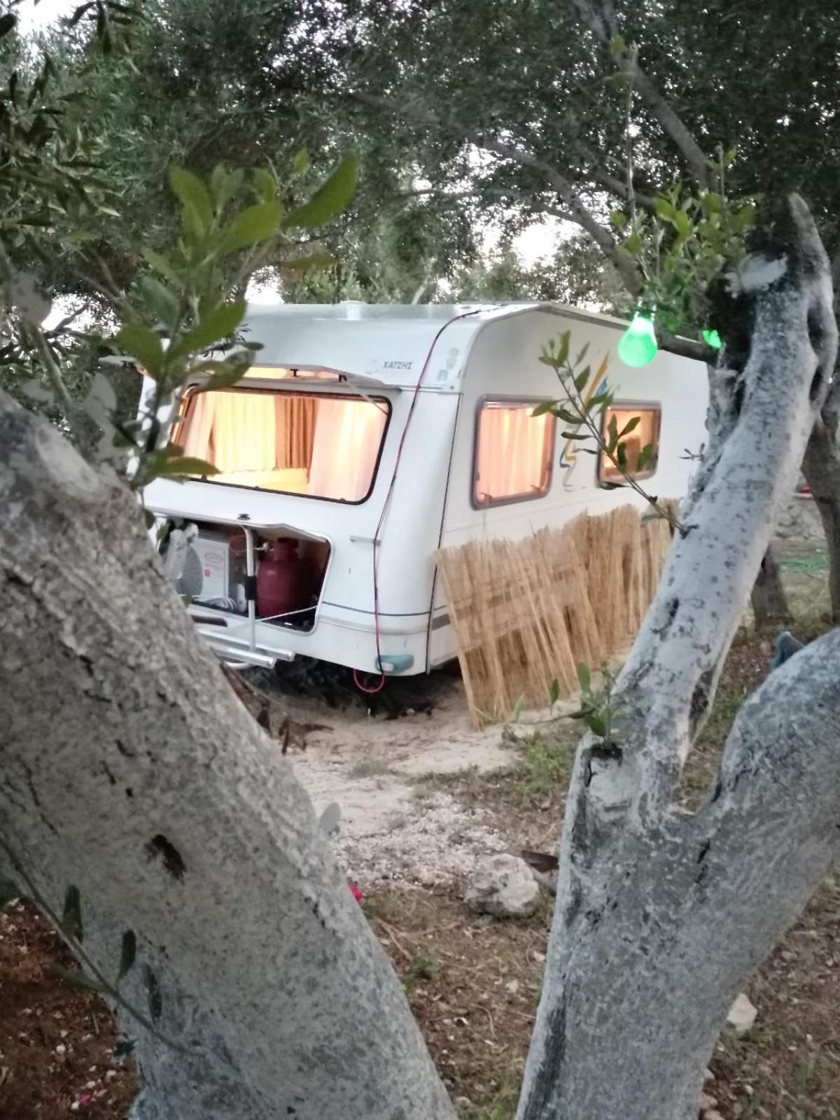 Campingplatz Terraoliva&herbs