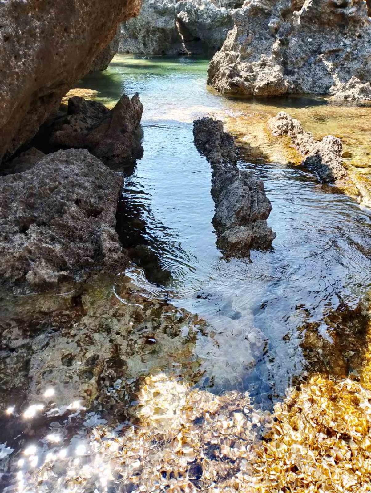 Terraoliva&herbs Camping
