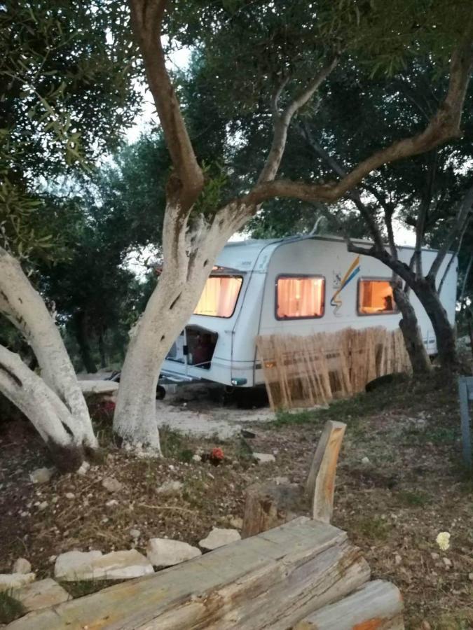 Terraoliva&herbs Kamp alanı