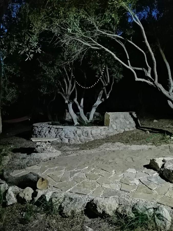 Kamp alanı Terraoliva&herbs Vátos