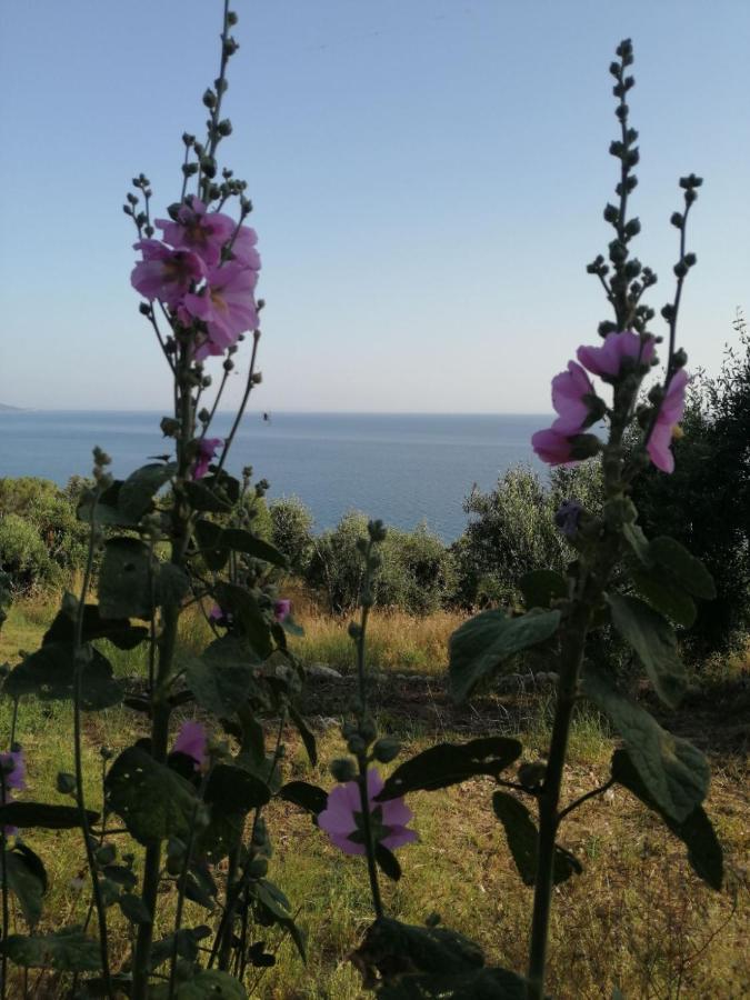 Terraoliva&herbs Kamp alanı Vátos