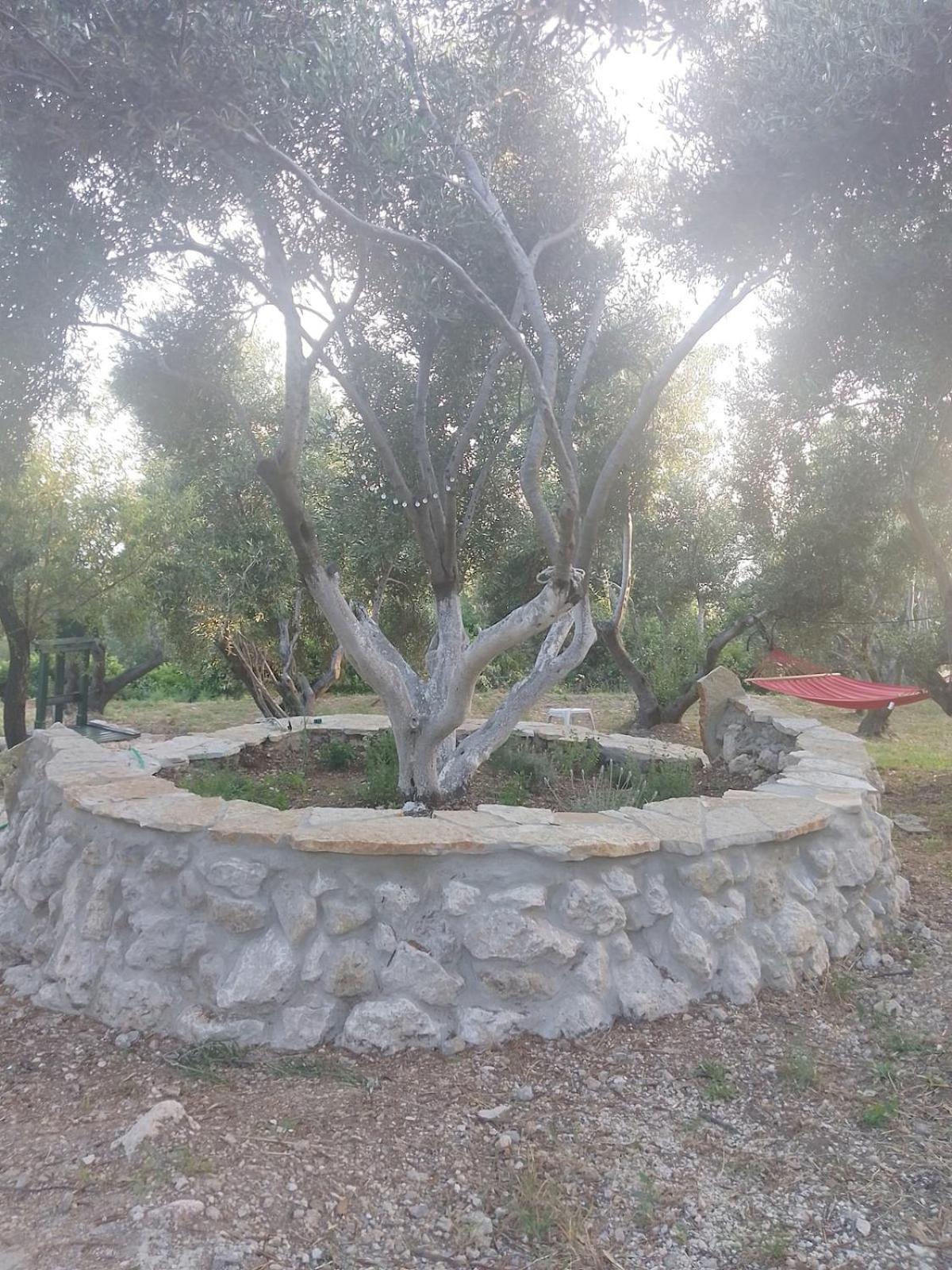 Terraoliva&herbs Kamp alanı Vátos