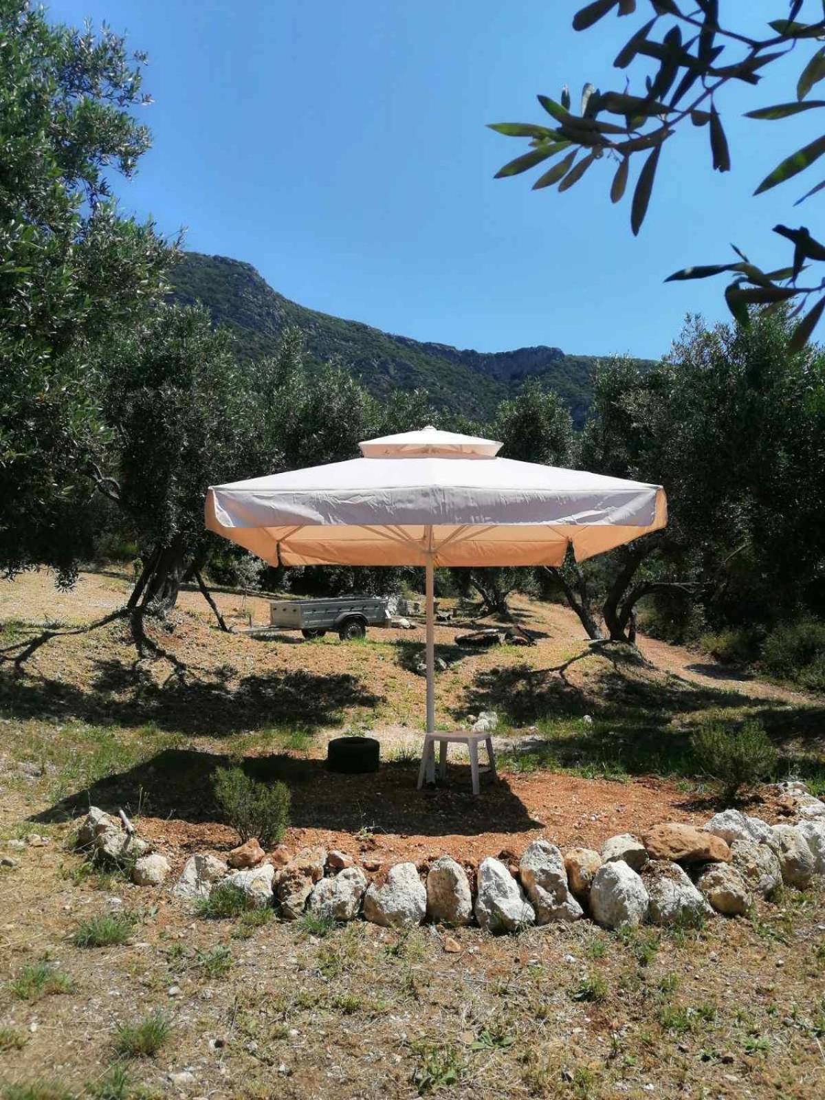 Terraoliva&herbs Kamp alanı